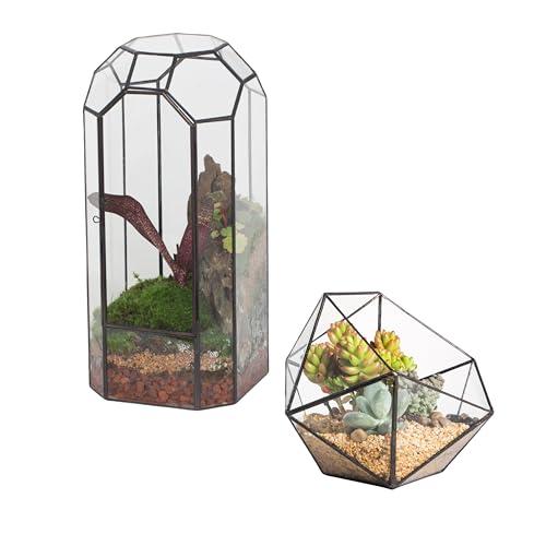 NCYP Glass Terrarium - Closed Tall Plant Terrarium with Door, and Bowl Shape Opened Terrarium for Small Succulent Cacti, Ferns, Indoor Garden Office Decor (No Plants)