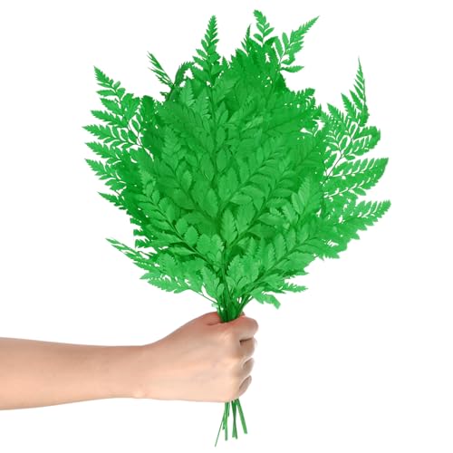 M METERXITY 10-Pack Fern, 15" Natural Dried Greenery with Stems for Wedding Garland Bouquet/Home Party/DIY Crafts Decors, Dried Plants [Green] - color: Green
