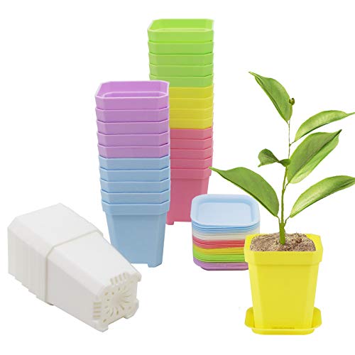 30Pcs 3" Plants Nursery Pot with 30 Saucers Multi Color, Square Plant Pots | 3 inch Thick Plastic Colorful Flower Planting Pots, Seedling Seed Starting Pots Outdoor Garden - color: Multicolor