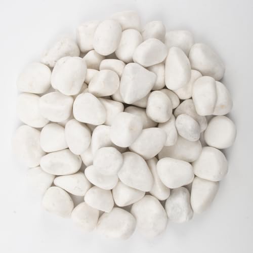 20lbs White Natural River Rocks, Polished Pebbles for Plants Garden, 1-2 inch Decorative White Stones, Ideal for Fish Tank, Vases, Crafting, Home Decor and Garden Landscaping Rocks,White - color: Pure White