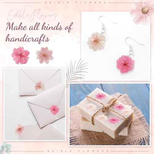 96 Pcs Pressed Edible Flowers, Pink, Flower Style | Natural Dried Flowers for Cake Topper Cupcake, Cocktails Garnish, Resin Jewelry DIY, Soap, Candle Making Art Crafts - color: Pink, style: Flower Style