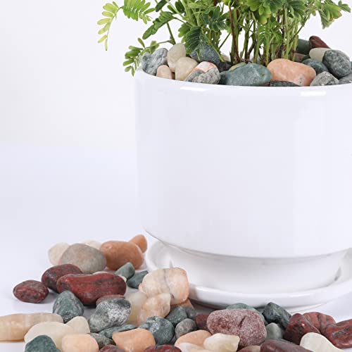 11lbs Natural River Rocks, Polished Pebbles for Plants Garden, 0.3-0.8 inch Decorative Countryside Stones, Ideal for Fish Tank, Vases, Home Decor and Garden Landscaping,Countryside - size: 11 Pounds, style: Countryside