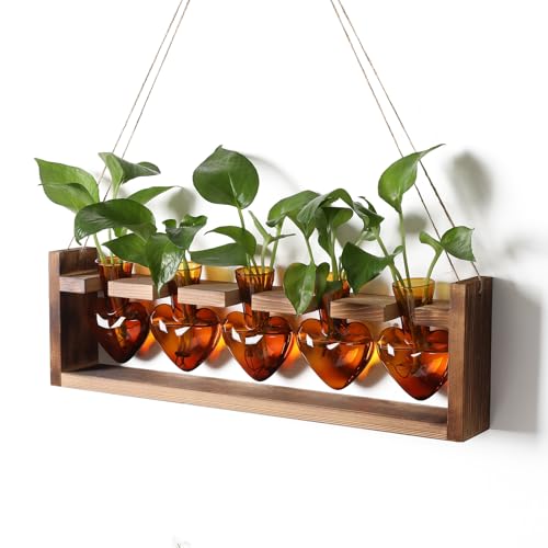 Plant Terrarium Hanging Propagation Stations Gift for Women - color: Amber