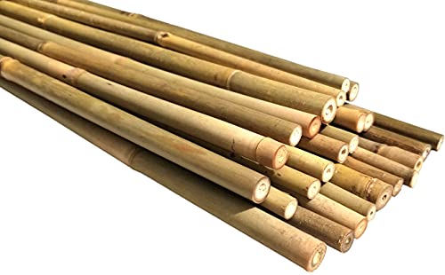 Natural Bamboo Poles, Eco-Friendly Plant Support Garden Stakes 4ft Long, Diameter of 3/8" (25-Count) - size: 4 ft, 3/8" Diameter (25-Count)