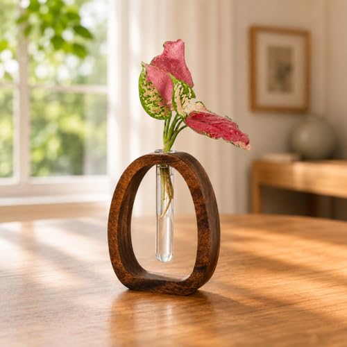 Solid Frame Glass Test Tube Vase Desk Hydroponic Plant Vase Holder for Home Decor,Dining Table Centerpiece,Office,Plant Gifts(Small)