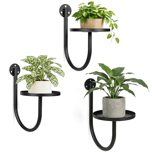 Wall Plant Holders for Indoor Plants, 3 Pack Black - color: Black