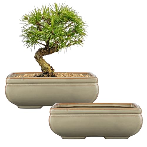 Set of 2 Large Bonsai Pots with with Drainage Hole, 8.7" Brown Glazed | Ceramic Rectangle Bonsai Tree Pots, Shallow Bonsai Planters for Indoor Outdoor Plant, Succulents, Cactus, Home, Patio, Garden - color: Light Brown, size: 8.7"x5.9"x3.1"