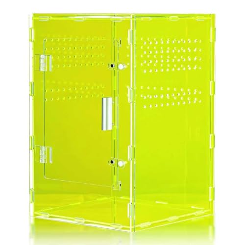 8x8x12 Light Green Acrylic Terrarium Vertical for Spider Reptile - color: LightGreen