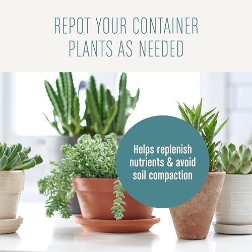 Miracle-Gro Succulent Potting Mix - Potting Soil Mix for Indoor Succulents, Aloe Vera and More, Made with Miracle-Gro Plant Food, 4 qt. (Pack of 10) - size: 10 Pack, style: Succulent