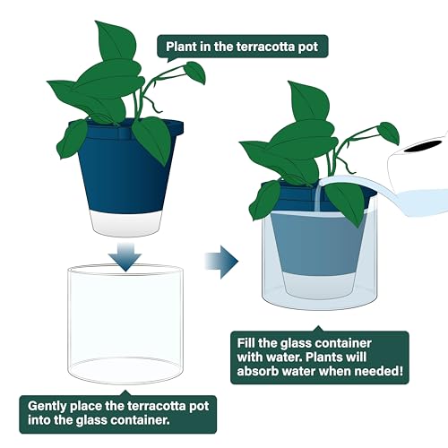 D'vine Dev Self-Watering Blue Terracotta Planter Pot, 8 in, 37-X-C-4 | Terracotta & Glass Design, Clear Water Reservoir, Visible Water Level, Easy Plant Care, Ideal for Busy Plant Lovers - color: Blue, size: 8 Inch