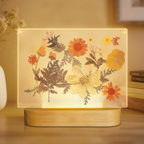 Pressed Flower Frame Night Light, DIY LED Dried Floral Table Lamp for Bedroom Bedside Living Room Home Office Shelf Decor, Birthday Xmas Gifts for Girl Women Mother Wife Girlfriend (4x6 inch) - color: Yellow Flower Frame Lamp