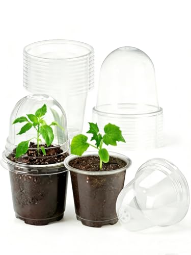 JOPY 4 Inch Plastic Nursery Pots with Humidity Dome for Plants 20 Pack Clear Seedlings Planting Pots for Garden Indoor and Outdoor Small Planter Containers with Drainage Holes - size: 4 inch-20Pcs