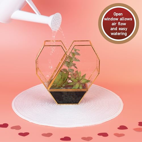 D'Eco Glass Gold Heart Plant Terrarium, Centerpiece & Wedding Letterbox | Tabletop Geometric Planter Terrarium, Fill Display with Succulents, Moss, Air Plants, Ferns, Home & Office Decor, Dims:8x8x3" - size: Heart