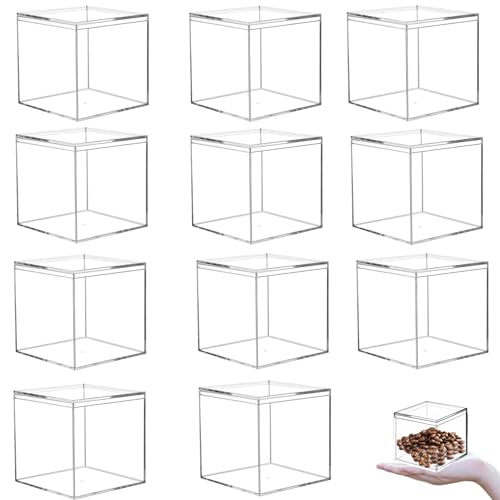 KissYou Acrylic Box 12 Packs Clear Boxes with Lids Plastic Square Cube for Display Small Storage Boxes Birthday Graduation Party Favor Candy Boxes - size: 2.95 x 2.95 x 2.95 Inch, style: 12 Pack