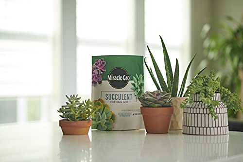 Miracle-Gro Succulent Potting Mix, 4 qt. (2-Pack) - size: 2 Pack, style: Succulent