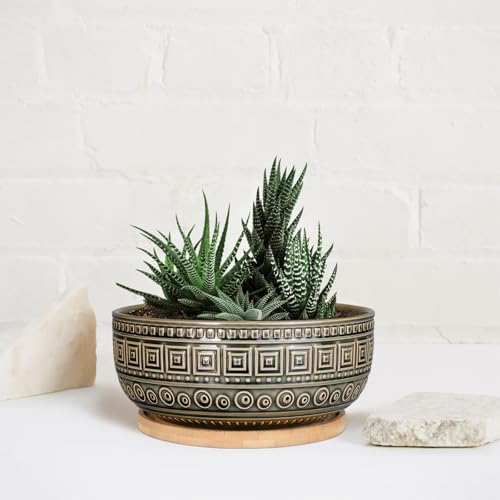 G EPGardening 8 Inch Ceramic Succulent Planter Pots Round Shallow Bonsai Planter Pot for Indoor Plants with Drainage and Bamboo Saucer Gray - color: Gray