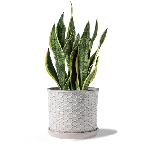 8 Inch Ceramic Plant Pot with Drainage Hole & Separate Saucer | Indoor/Outdoor Planter with Tray - Honeycomb Embosse Flowerpot for Home & Office - Cream White - color: Honeycomb Embossed, size: 8 inch