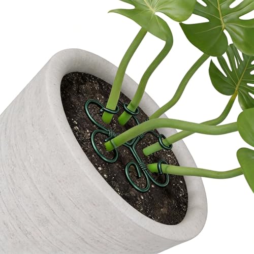 Green Iron Monstera Plant Support Stakes, Decorative Unique Design Indoor Plant Support Stakes, Stable Turtle Leaf Shaped Bamboo Clamp Set for Healthy Plant Growth & Climbing Support