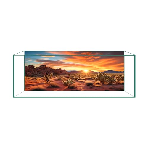 Reptile Background Film, Static Cling, Glue-Free, Desert, 19.6"H×59"W | No Glue Static Cling • Spray Water to Apply • Realistic Desert Scene • Natural Terrarium Look • Reusable • Easy Trim - size: 19.6 X 59 Inches