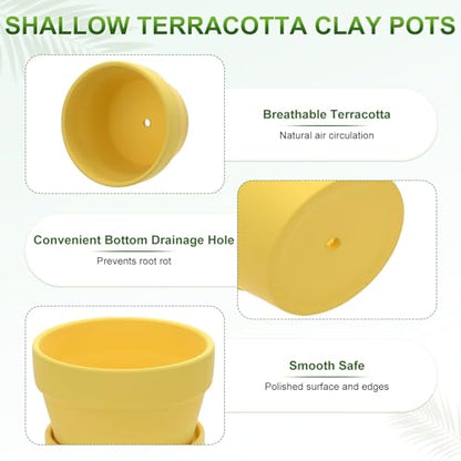 M METERXITY 6-Pack Shallow Terracotta Clay Pots, 4.3" Ceramic Small Plant Pots with Saucer and Drainage Holes for Succulent Plants/DIY Crafts, Terracotta Pottery Planters [Yellow] - color: Yellow