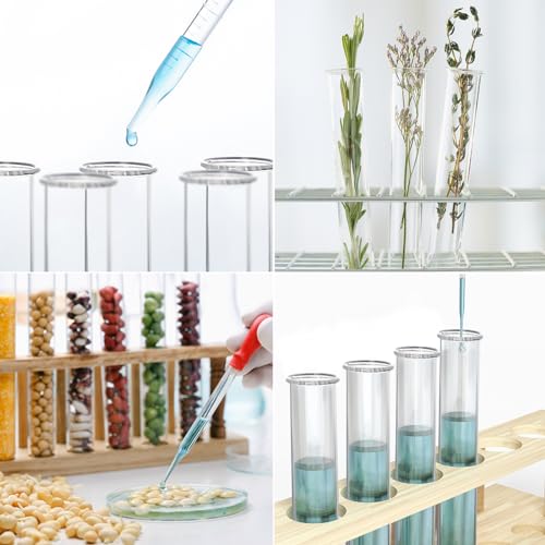 XXXFLOWER Wall Hanging Propagation Station with Wooden Stand 5 Glass Test Tubes+4 Tube Vases