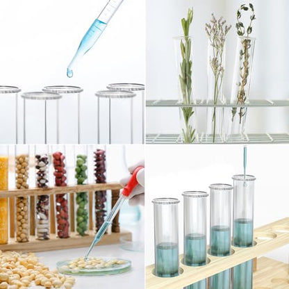 XXXFLOWER Wall Hanging Propagation Station with Wooden Stand 5 Glass Test Tubes+4 Tube Vases