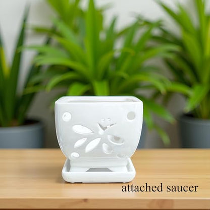 Ceramic Orchid Pots with Holes Square Orchid Planter 5.5 inch (Cream) - color: Cream