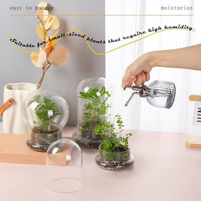WHJY 6 inches Glass Cloche for Indoor Plants Small Terrarium Glass Cloche with Base Mini Cloche Dome with Base for Display Home Decor - size: 6.3"