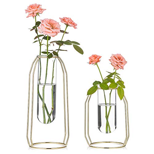 2 Pcs Flower Vases with Iron Art Frame, Geometric Plant Pot, Centerpiece Plant Vase, Plants Tabletop Display Holder for Wedding Table Office Living Room Decor (Gold, S+L) - color: Gold, size: S+L