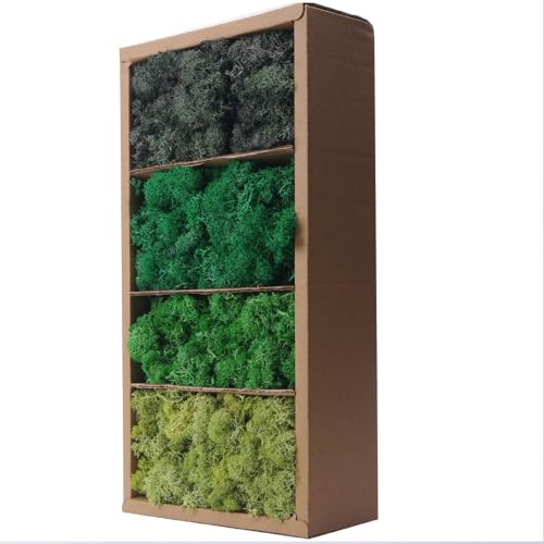 Preserved Moss-1.1lb 4 Color Mix Pack Reindeer Craft Moss, Green Moss Artificial Moss Suitable for Flowerbeds, Crafts, Home Office Artistic Decoration(Green Tones-3) - color: GREEN TONES-3, size: 1.1LB