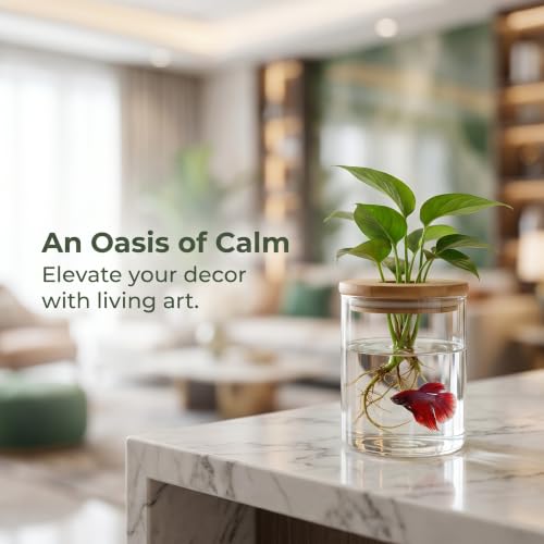 Propagation Stations, Desktop Plant Terrarium Glass Hydroponic Vases, Water Plant Jars, Gardening Gifts for Women Mom Plant Lovers, for Hydroponics Home Garden Office Decoration