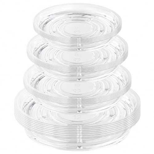 32 Pack Clear Plant Saucers for Indoors (6, 8, 10, 12 inch) Drip Trays to Catch Water Indoor Plants Plastic Plant Trays Bulk - color: Clear, size: 6 8 10 12 inch: 32 pcs