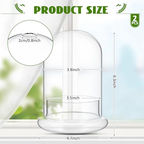 2 Pcs 4.7 x 6.3 Inch Glass Terrarium Dome Cloche with Air Hole & Glass Base, Clear Terrarium Containers Ventilated Plant Humidity Dome for Carnivorous Plants Orchids Tropical Cuttings, No Leakage - size: 4.7 x 6.3 Inch