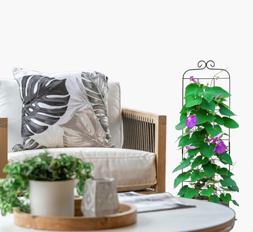 4 Pack 31'' Plant Trellis for Climbing Plants Indoor & Outdoor, Metal Trellis for Potted Plants, Plant Support for Houseplant, Vines, Pothos, Rose, Ivy, and Flowers, Black - size: 31in/4Pack