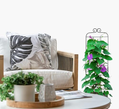 4 Pack 31'' Plant Trellis for Climbing Plants Indoor & Outdoor, Metal Trellis for Potted Plants, Plant Support for Houseplant, Vines, Pothos, Rose, Ivy, and Flowers, Black - size: 31in/4Pack