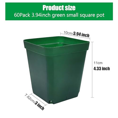 RooTrimmer Square Nursery Succulent Pots 4 Inches 60 Pcs Deep Flower Plant Nursery Seedling Grow Pots Plastic with Drainage (Green, 4Inches, 60Pcs) - color: Green, size: 4 Inch - 60pk
