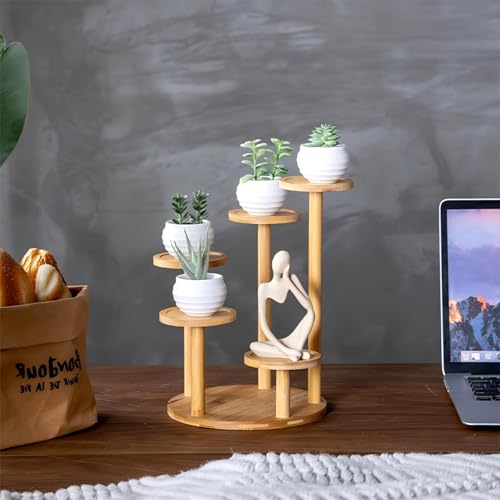 5 Tiered Desk Plant Stand Round Bamboo Plant Shelf Tabletop Succulent Herb Stand Desktop Plant Stand Indoor Plant Rack for in Living Room Office Decoration - Large - size: Large
