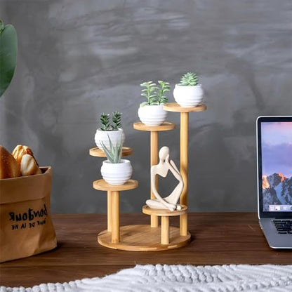 5 Tiered Desk Plant Stand Round Bamboo Plant Shelf Tabletop Succulent Herb Stand Desktop Plant Stand Indoor Plant Rack for in Living Room Office Decoration - Large - size: Large