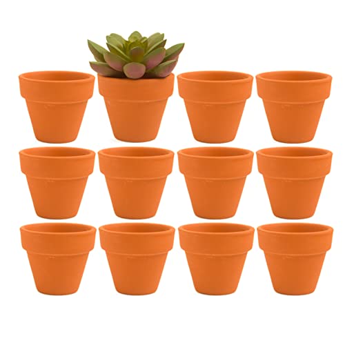 Mini Terracotta Clay Flower Pots 2 inch with Drainage Holes for for Tiny Cactus Herb lithop,Small Succulent Planter Nursery Plant Pot for Home Garden Table DIY Hand Craft Gift Decoration-12 Pack - color: Terracotta