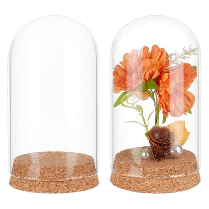 BENECREAT 2 Pcs Glass Display Cloche, 2.8x5.1 inches Bell Jar Dome with Cork Base, Display Dome Glass for Flower, Plant, Miniature and Craft, Home Decoration, ID: 2.6 inches - size: 2.8x5.1 Inch