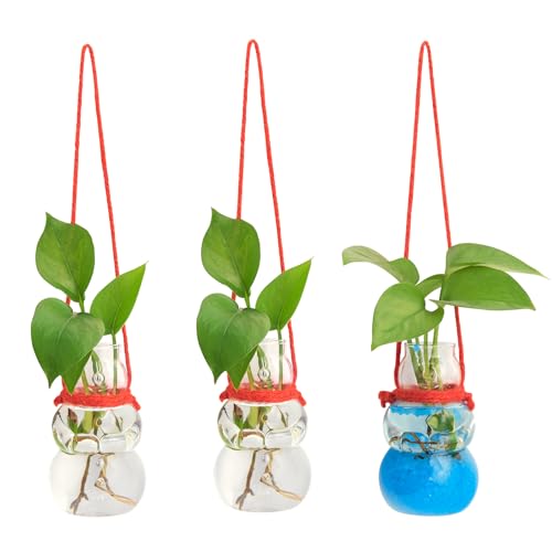 XXXFLOWER Wall Hanging Propagation Stations with Luminous Sand 3 Pc Snowman - size: 3 Snowman