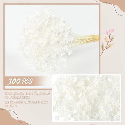 300 PCS Dried Flowers Brazilian White Small Starflower Flowers Mini Dried Flower Bouquet Daisies Mini Chamomile Flower Bouquet for Flower Arrangement Wedding (Snow-White) - color: Snow-white