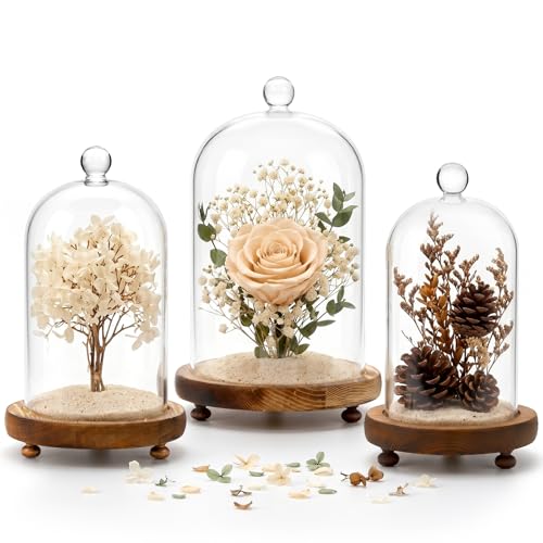 Pumtus 3 Sizes Cloche Glass Dome, Tall Glass Bell Display Case with Wooden Base & Handle, Dustproof Clear Decorative Jar for Plants, Medal, Photo, Home Party Wedding Decor Gift (4.7''/3.9''/3.5'')