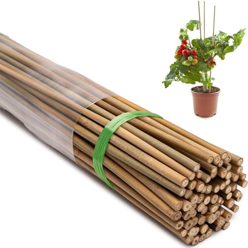 Bamboo Stakes, 4 Feet, 70 Pcs - size: 4ft-70 Pack