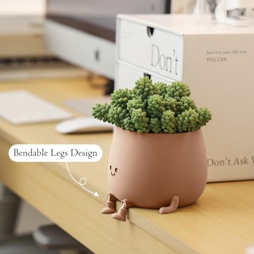 TOPOLA Happy Face Planter, 5.2 Inches Plastic Plant Pot, Self Watering Plant Pot with Drainage Holes for Indoor Outdoor, Succulent Pot, Funny Flower Pot, Khaki - color: Khaki