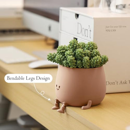 TOPOLA Happy Face Planter, 5.2 Inches Plastic Plant Pot, Self Watering Plant Pot with Drainage Holes for Indoor Outdoor, Succulent Pot, Funny Flower Pot, Khaki - color: Khaki