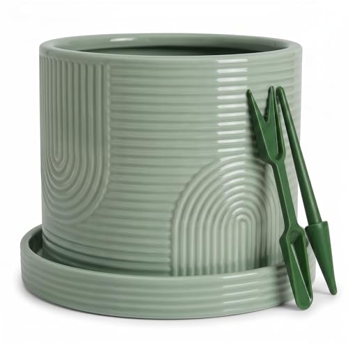 6 Inch Ceramic Plant Pot with Drainage Hole & Tray – Sage Green | Complete Planting Kit: Drainage Hole, Matching Tray & Bonus Tools - color: Sage Green