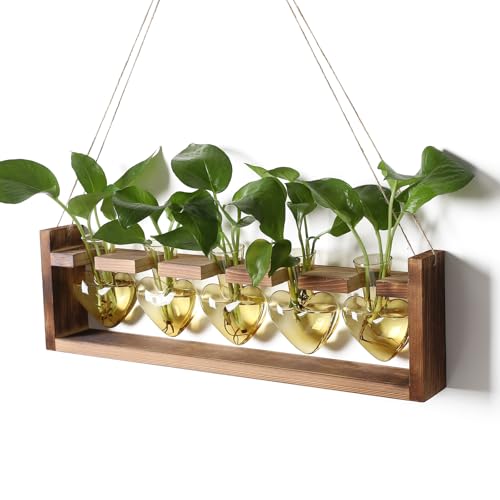 Plant Terrarium Hanging Propagation Stations Gift for Women - color: Gold