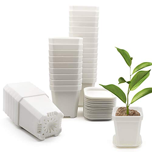 30Pcs 3" Nursery Pot with 30 Saucers White, Square Plastic Planting Pots | 3 inch Thick Flower Plant Seedling Pots, 30 Seed Starting Pots Outdoor Garden - color: White