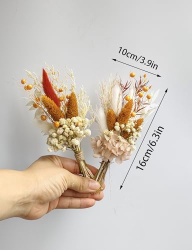 xin's convey Mini Dried Flower Bouquet Set of 6, Groom's and Best Man's Boutonnieres, Dried Flower Gift Box, Boho Wedding Plate Decoration, Birthday Cake Arrangement (Terracotta) - color: Terracotta